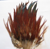 DF  Indian saddle brown # 2 